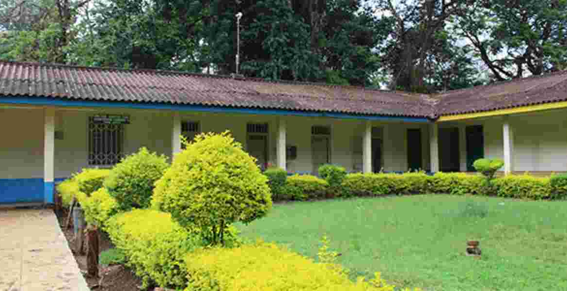 Kenya Government Moves to Remove Asbestos from Schools and Hospitals