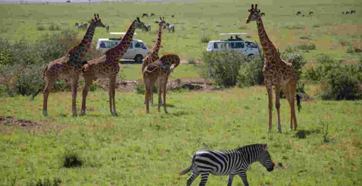 Kenya Aims to Boost Visitor Numbers with US Tourism Campaign