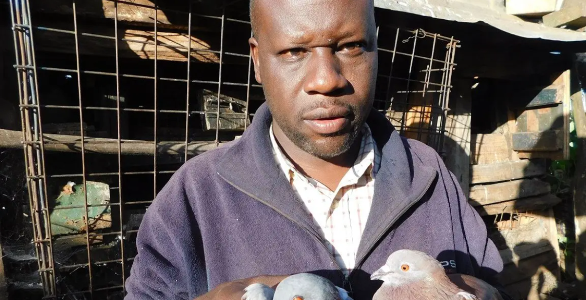 Mahmoud Shaban School Dropout Builds Thriving Pigeon Empire in Kenya, Attracts International Filmmakers