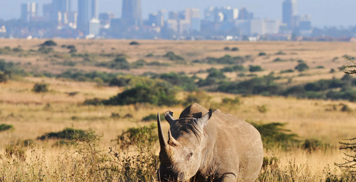 Kenya Tourism Board Awards Eight Photographers in National Contest to Showcase Hidden Attractions