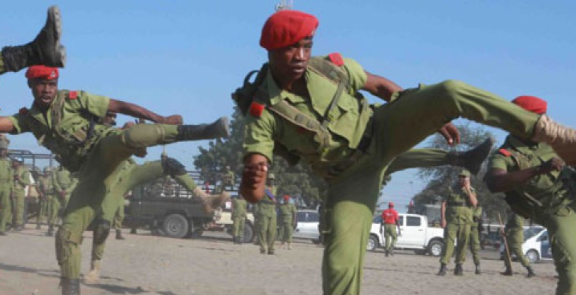 Tanzania-Kenya Police Collaboration Leads to Three Arrests in Molo Activist Murder