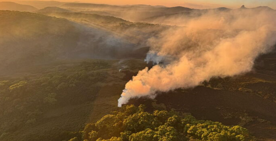 Wildfires Engulf Aberdare and Mount Kenya Forests as Conservation Teams Battle Multiple Blazes