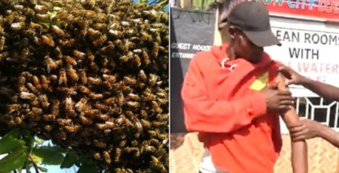 Panic in Limuru Market as Swarm of Bees Causes Chaos and Injuries