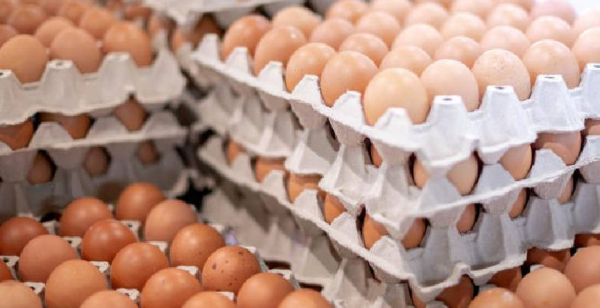 Eggs Kenya Moves to Scrap Excise Duties on Imported Eggs, Onions, and Potatoes