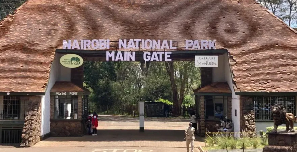 Kenya Announces New Measures to Improve Access to Nairobi National Park