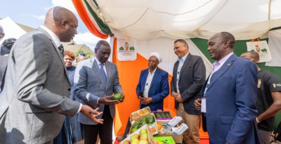 Murang’a County to Establish Export Processing Zone to Attract Investors