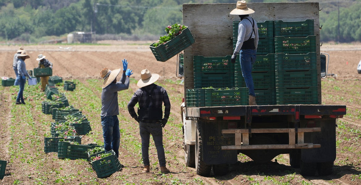 ICE Raids Resume Nationwide as Trump Targets Undocumented Workers