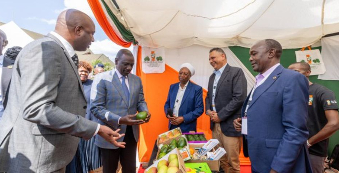 Murang’a Tycoons Finally Channel Wealth Home After Years of Silence