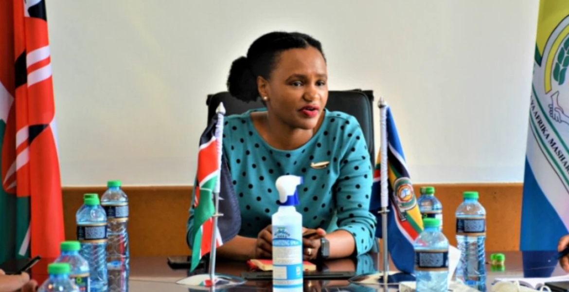 PS Roseline Njogu Kenyan Embassy in Dublin Steps Up Support as Diaspora Numbers Climb