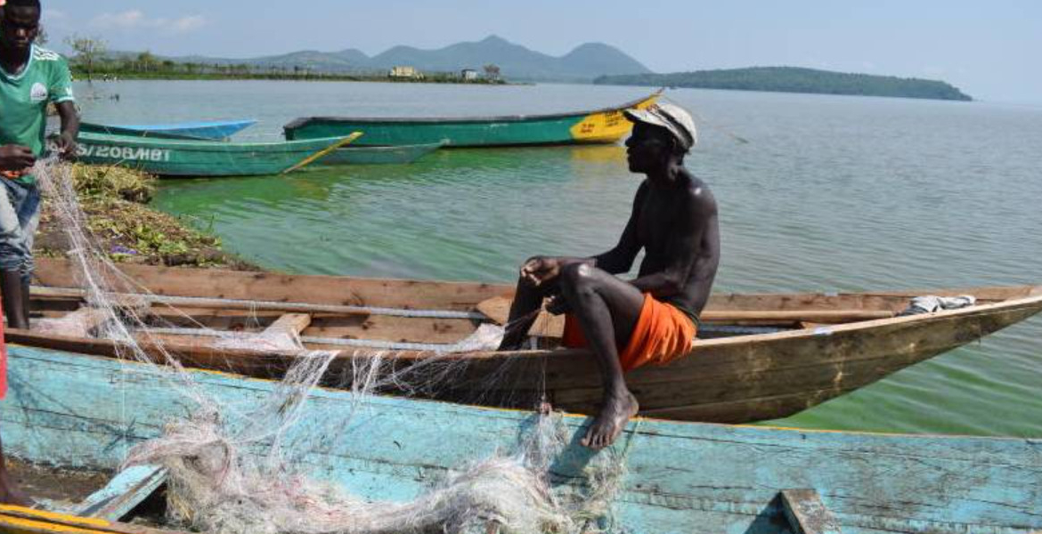 The Hidden Threat That Could Wipe Tilapia Off East African Menus
