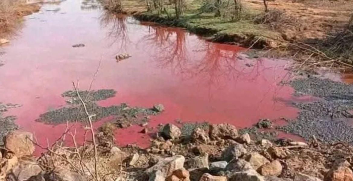 Why Lake Bogoria’s Waters Suddenly Turned Red