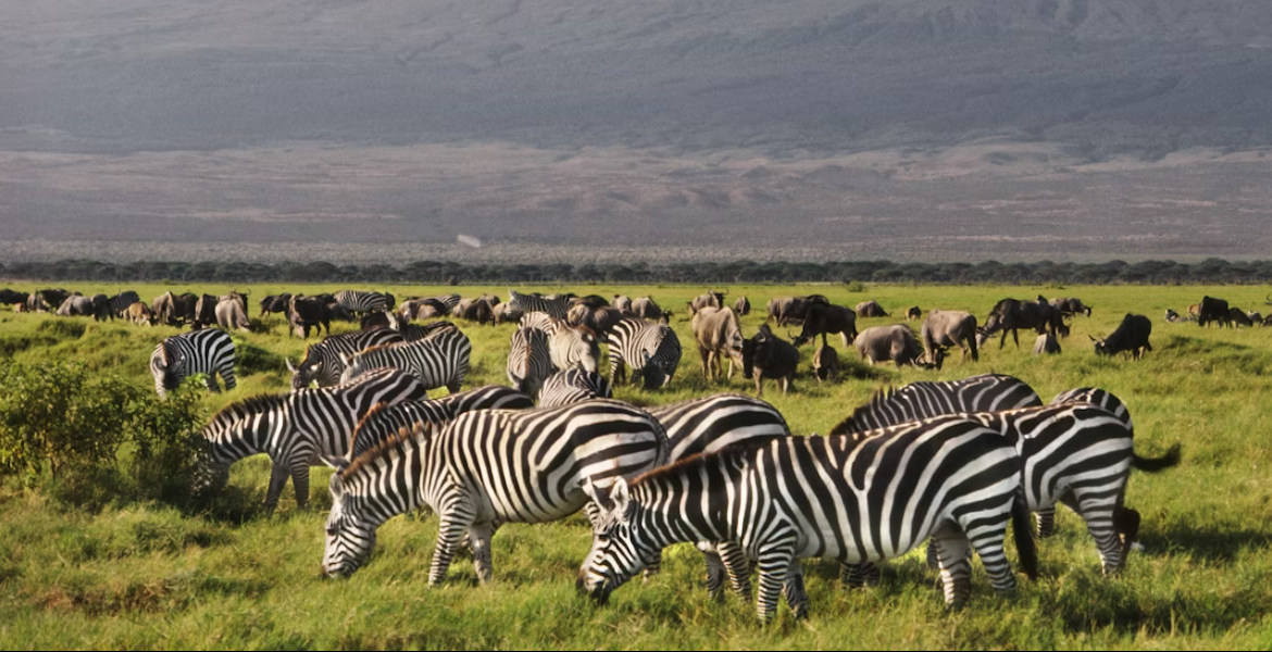 List of Proposed New Prices for Nairobi, Amboseli, Tsavo &amp; All Other Parks