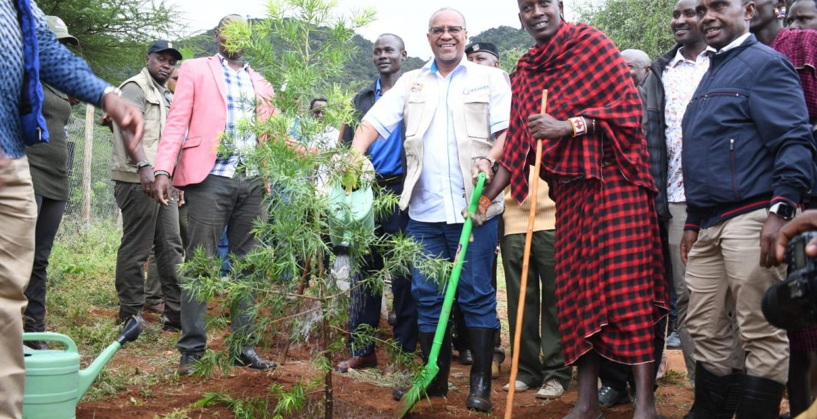 Jaza Miti Campaign Kenya’s Ambitious Plan to Plant 15 Billion Trees by 2032