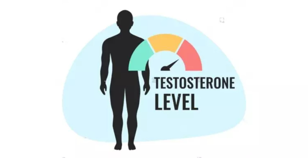 Low Testosterone Low Testosterone in Young Men: Why You're Always Tired and Gaining Weight