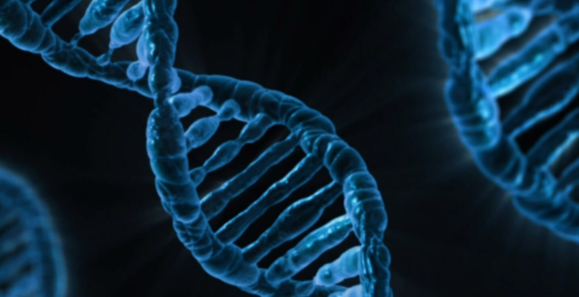 Claims of Fake DNA and Birth Certificate Fuel Nairobi Custody Fight